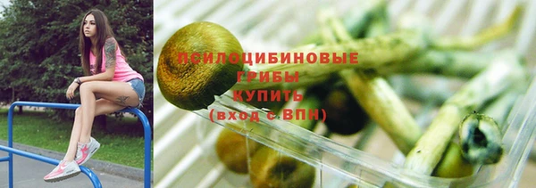 прущая мука Ельня