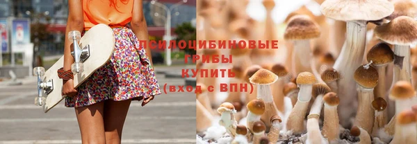 героин Дмитриев