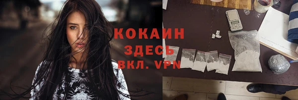 молекула духа Дмитровск
