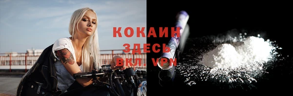 амф Елизово