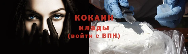 амф Елизово