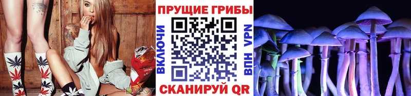 Галлюциногенные грибы Magic Shrooms закладки KRAKEN сайт Йошкар-Ола
